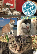 にゃんたび DVD-BOX